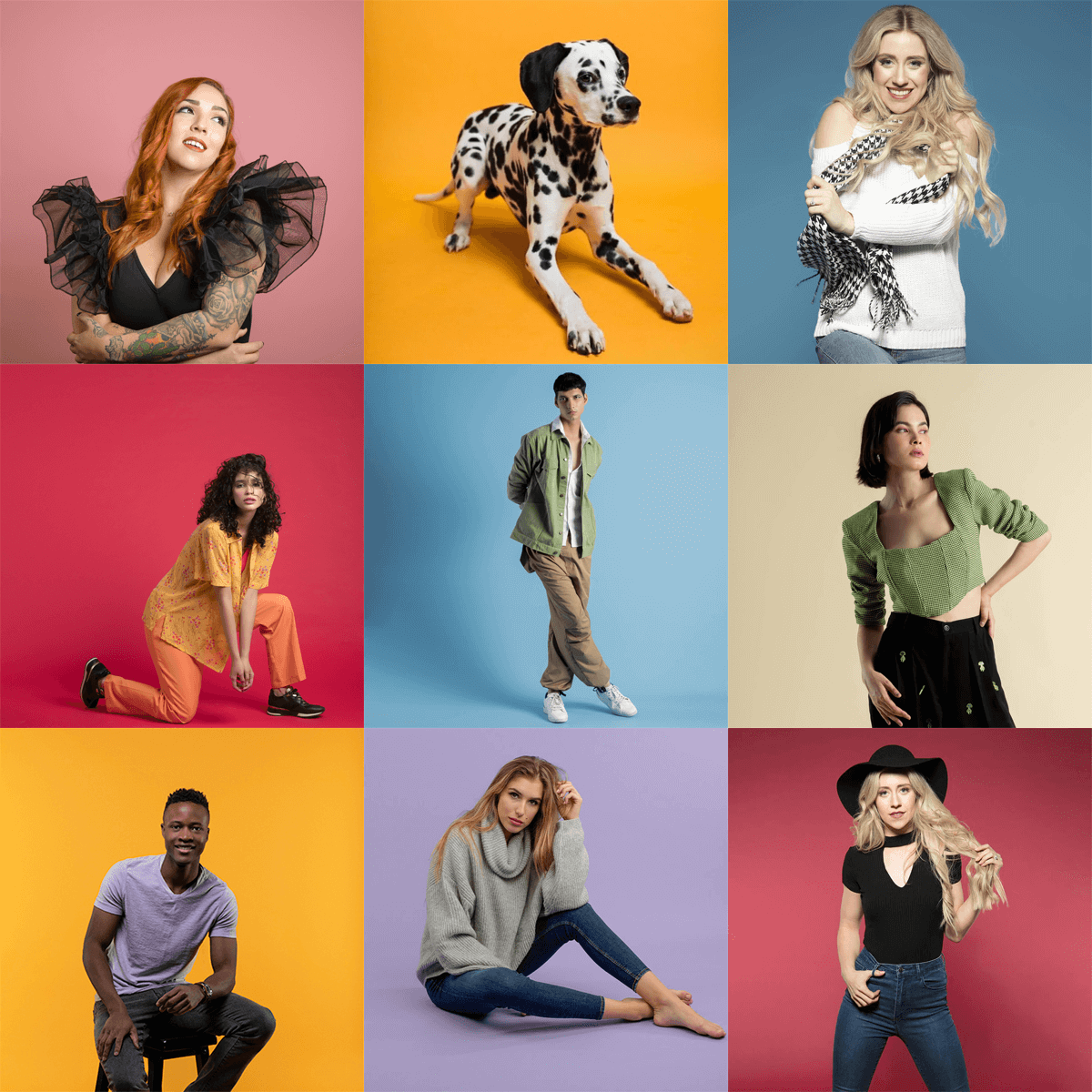 Fondos de Papel de Colores para Estudio Fotográfico: Guía Completa, Usos y Esquemas de Iluminación